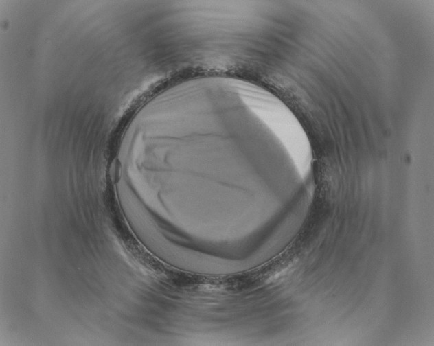 X0000088390496200706191336