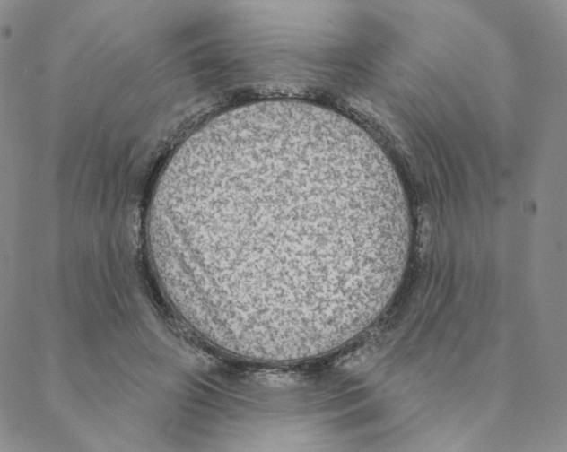 X0000088390498200706191336