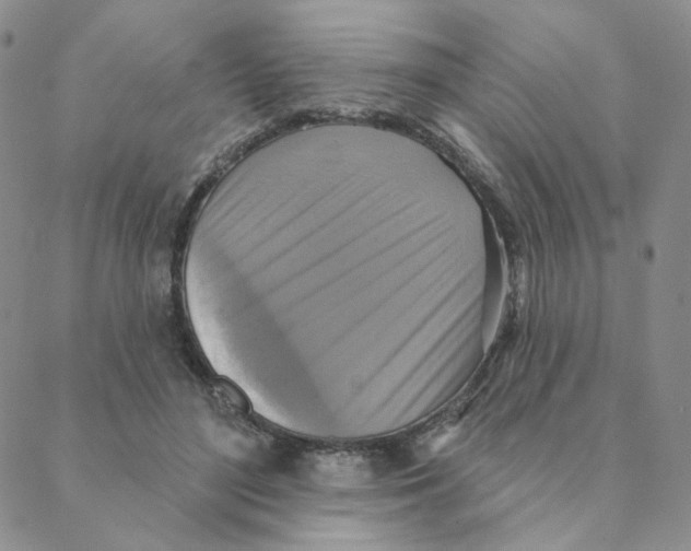 X0000088390500200706191336