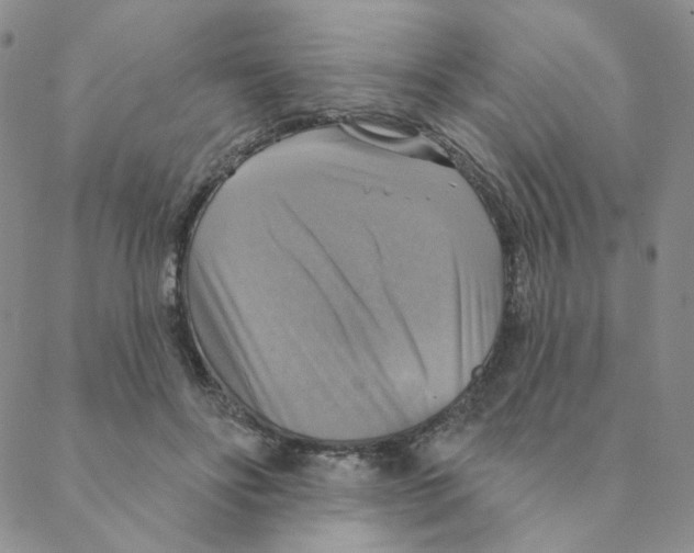 X0000088390502200706191336