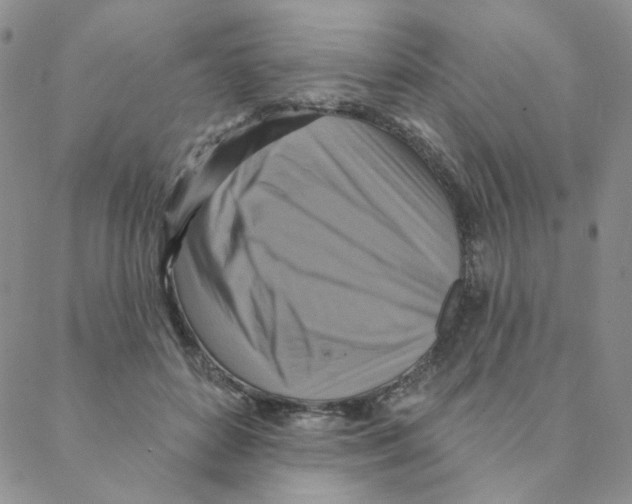 X0000088390504200706191336