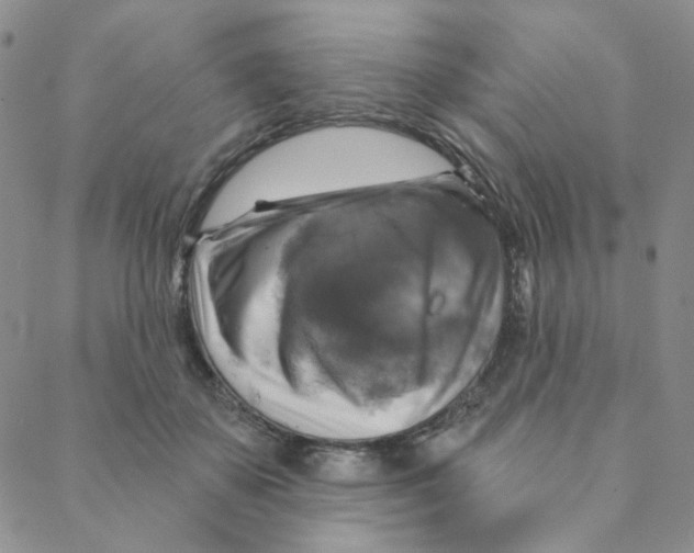 X0000088390507200706191336
