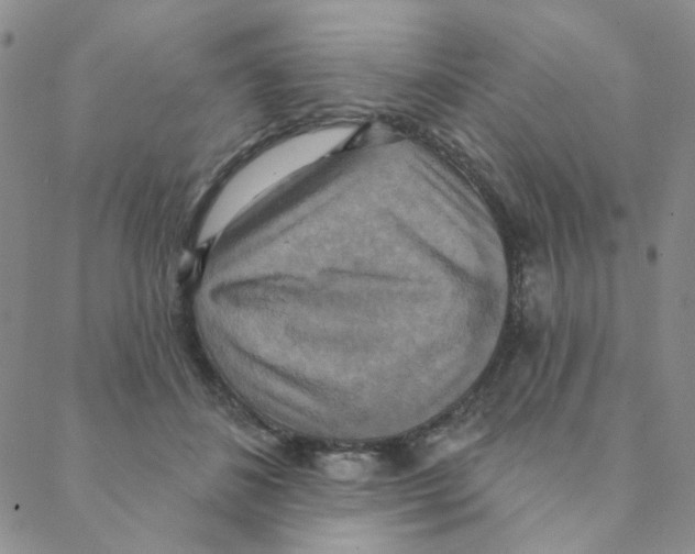 X0000088390508200706191336