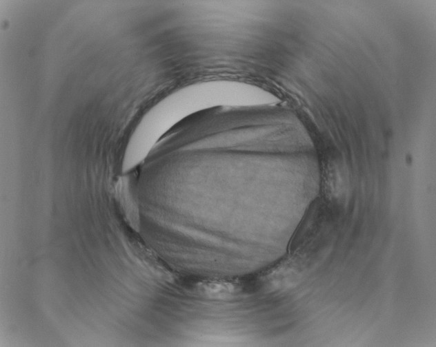 X0000088390512200706191336