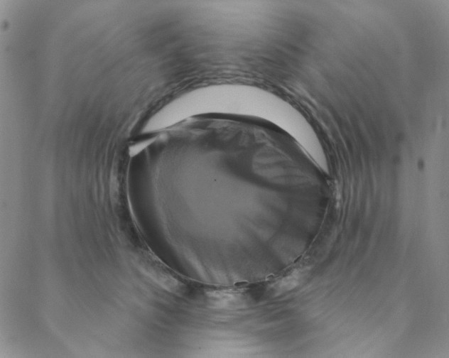 X0000088390516200706191336