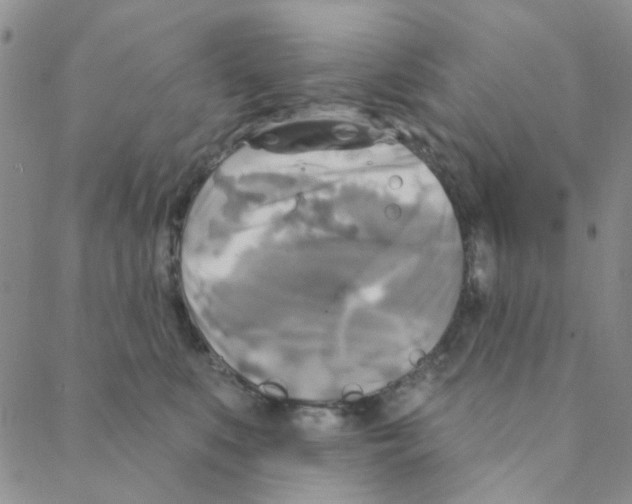 X0000088390519200706191336