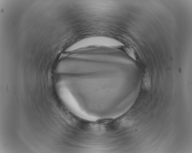 X0000088390520200706191336