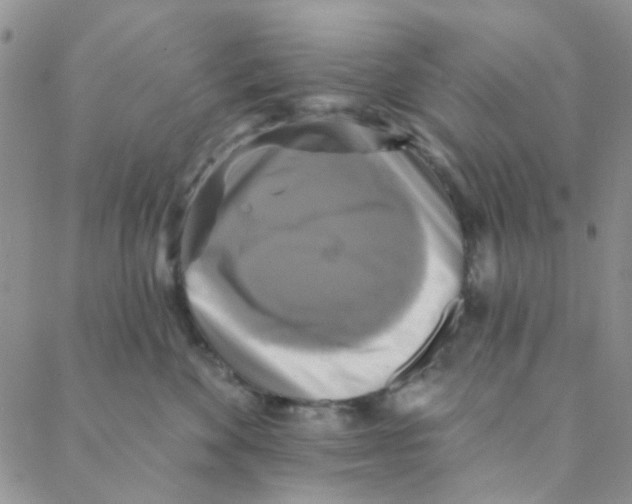 X0000088390524200706191336