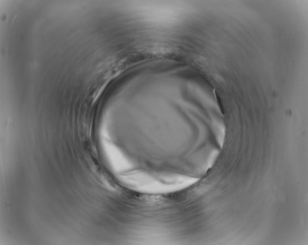 X0000088390528200706191336