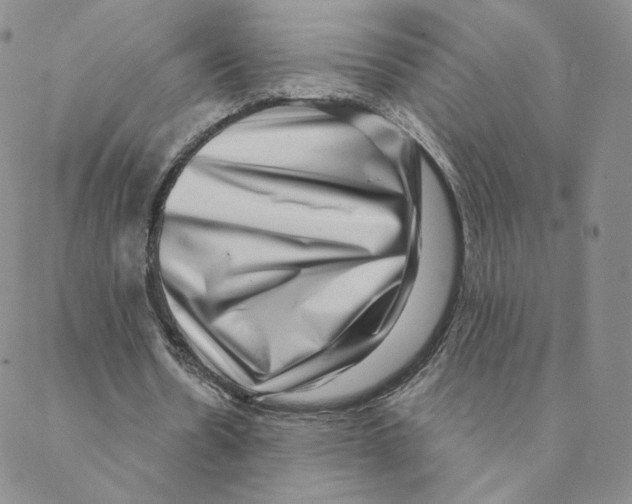 X0000088390530200706191335
