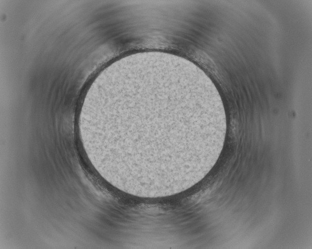 X0000088390534200706191335
