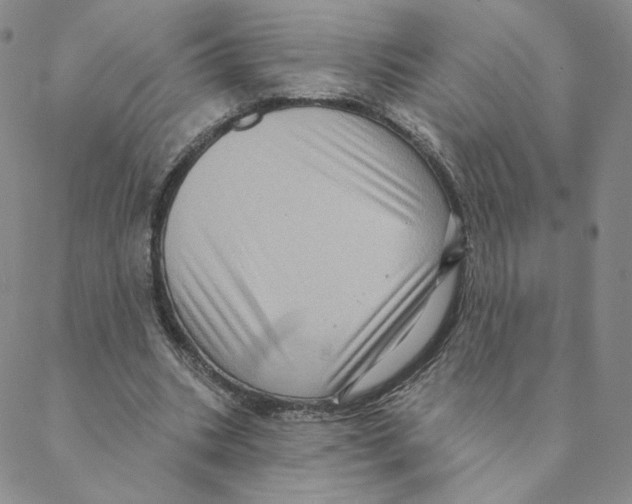 X0000088390535200706191335