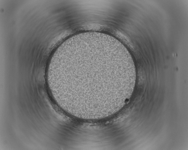 X0000088390538200706191335
