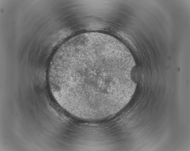 X0000088390539200706191335