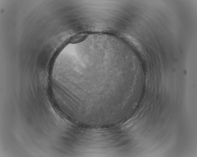X0000088390540200706191335