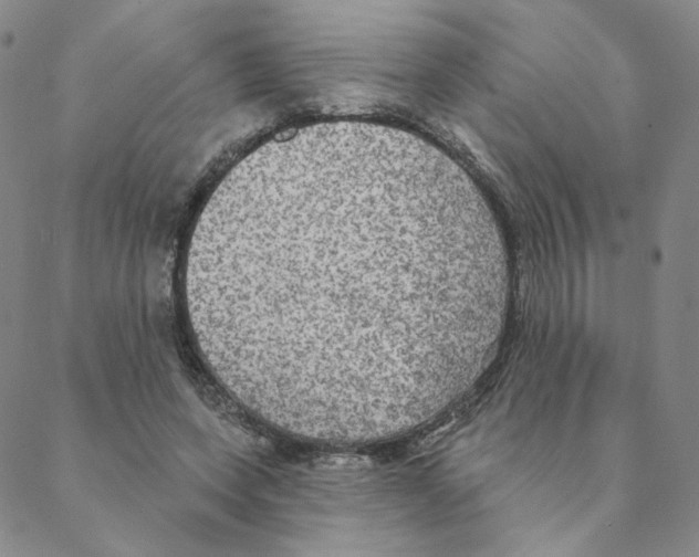 X0000088390543200706191335