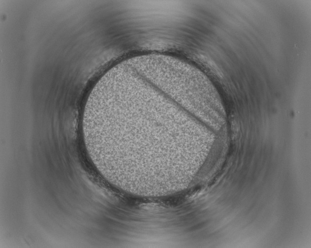 X0000088390544200706191335
