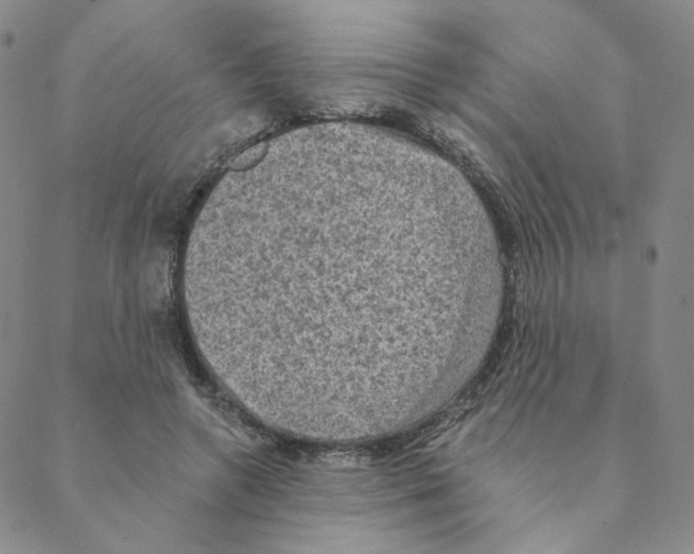 X0000088390546200706191335