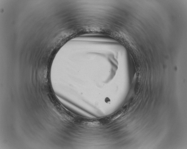 X0000088390548200706191335