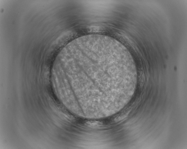 X0000088390557200706191335