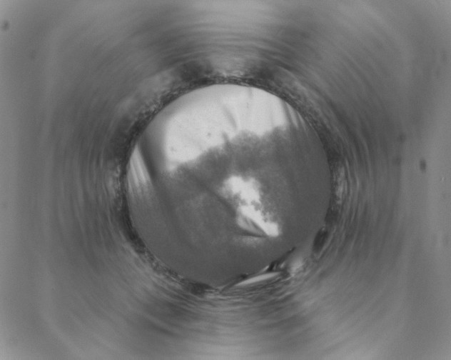 X0000088390559200706191335