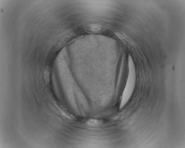 X0000088390562200706191335