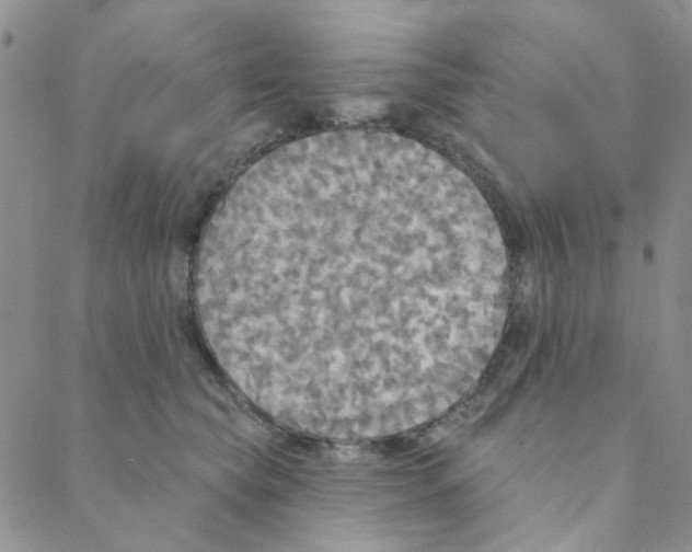 X0000088390565200706191335