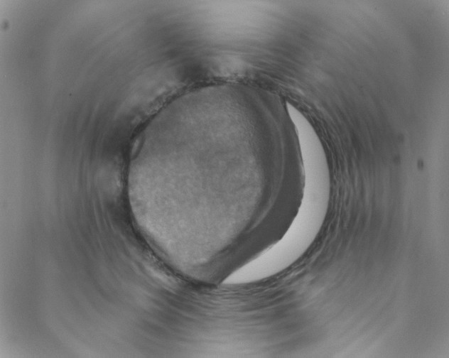 X0000088390566200706191335