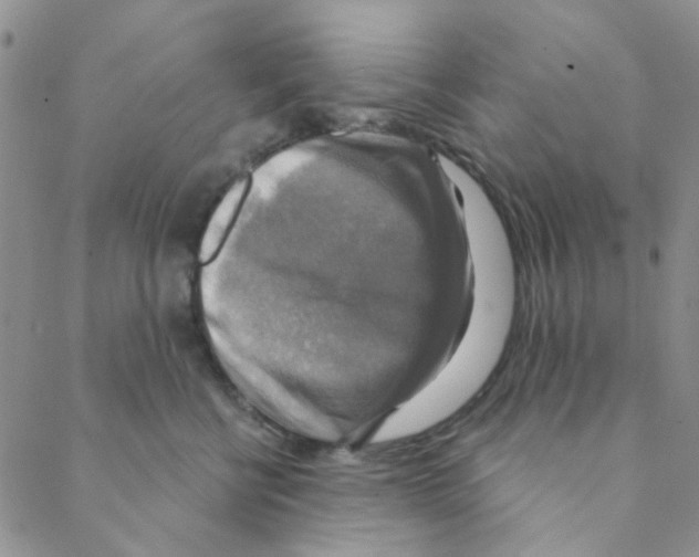 X0000088390570200706191335