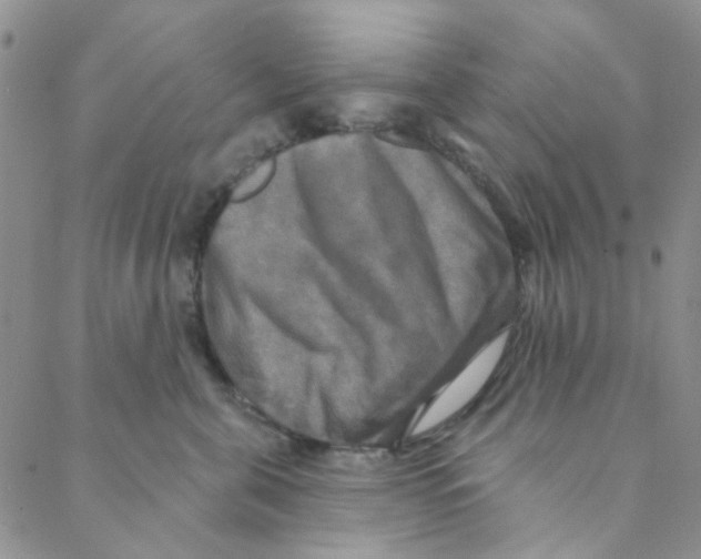 X0000088390571200706191335