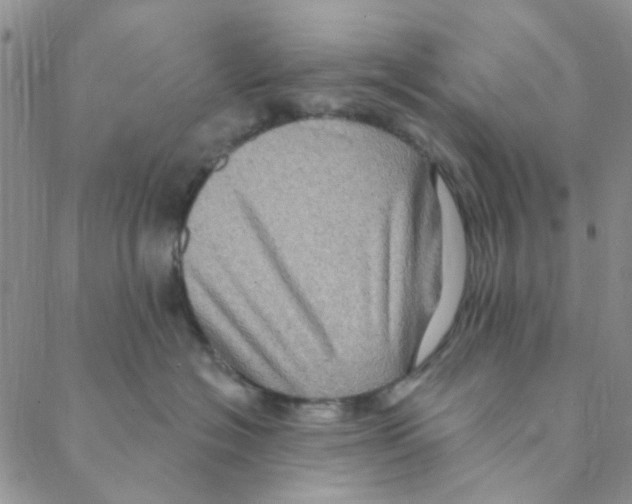 X0000088390574200706191336