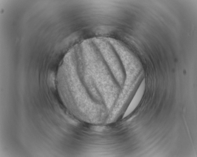 X0000088390575200706191336