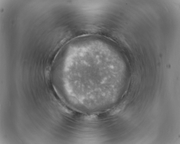 X0000088390576200706191336