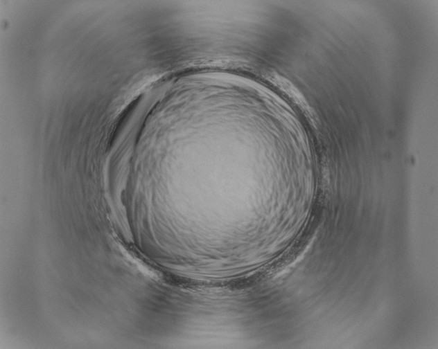 X0000088390577200706191335