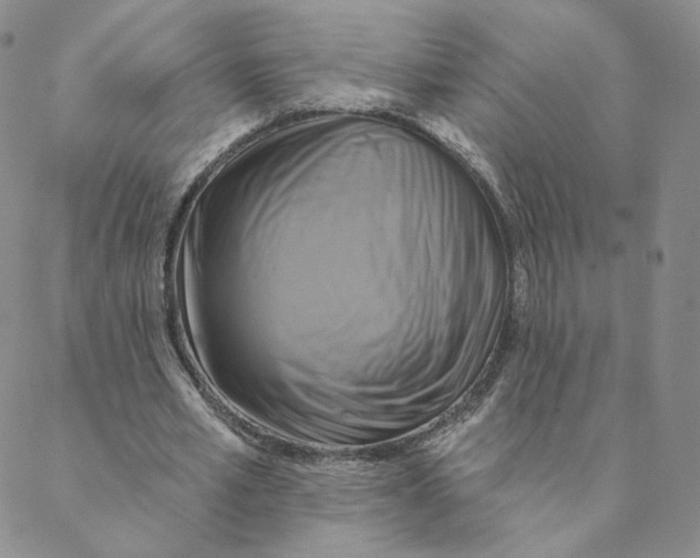X0000088390581200706191335