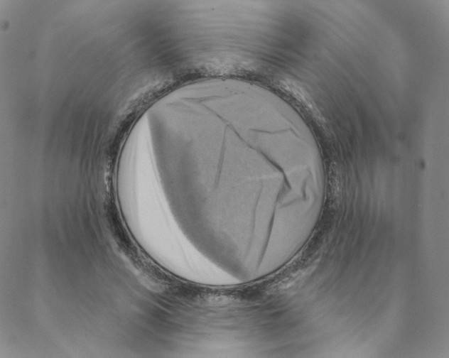 X0000088390590200706191335