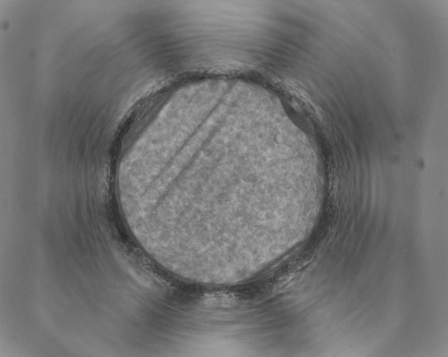 X0000088390591200706191335