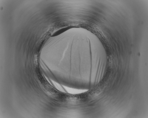 X0000088390598200706191334