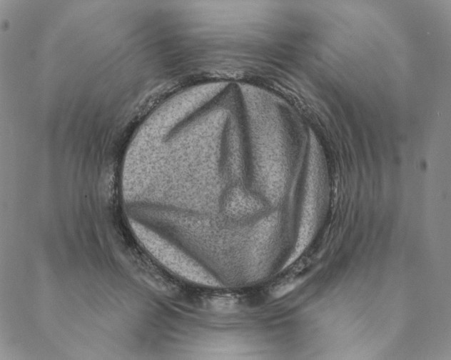 X0000088390600200706191334