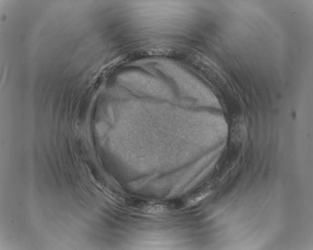 X0000088390604200706191334