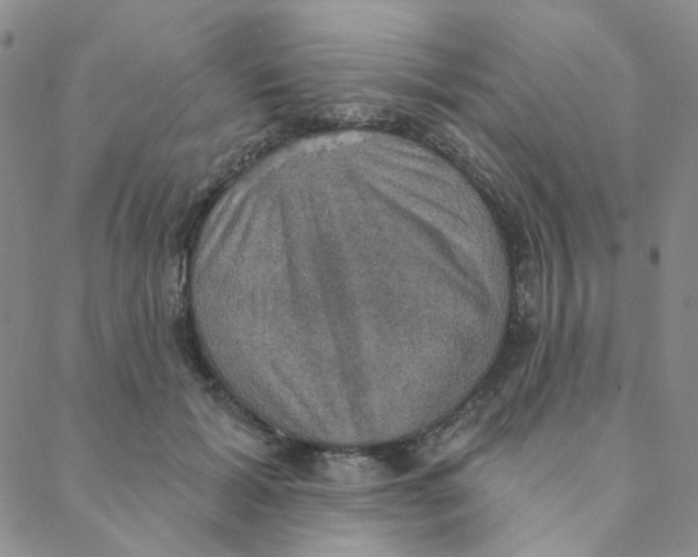 X0000088390605200706191334