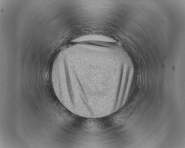X0000088390608200706191334