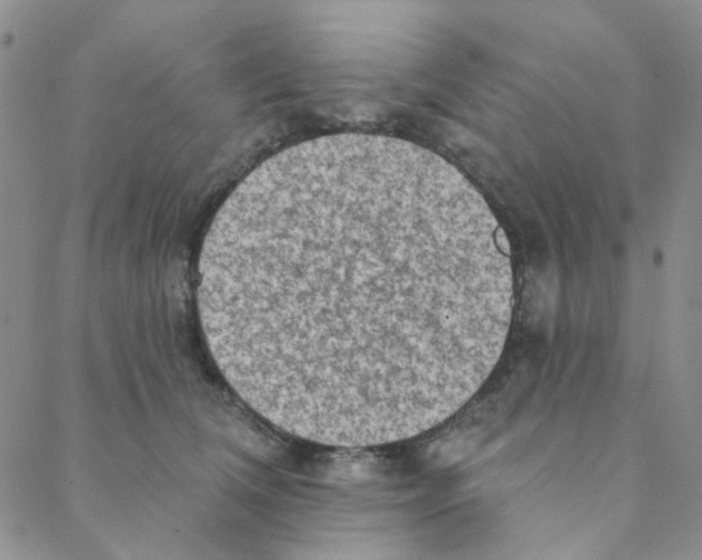 X0000088390612200706191334