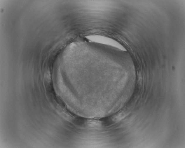 X0000088390617200706191334