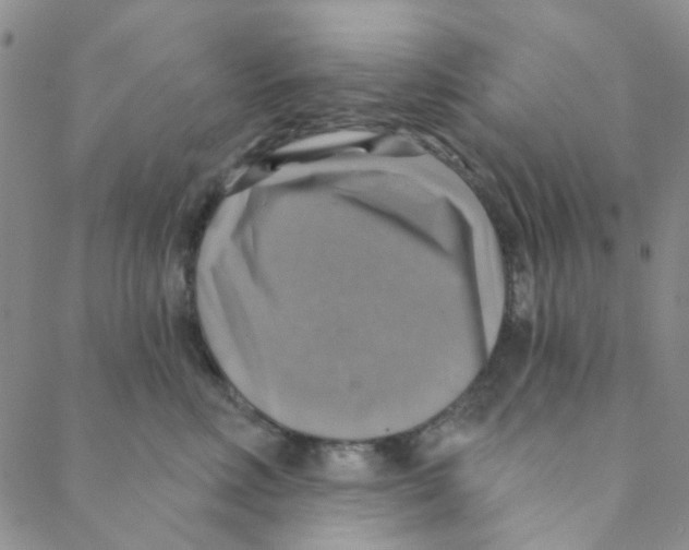 X0000088390618200706191334