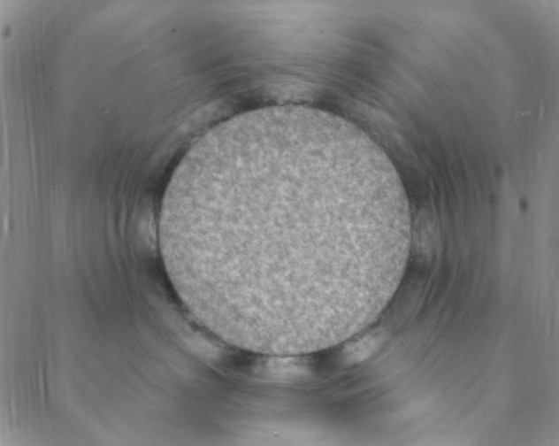 X0000088390622200706191334