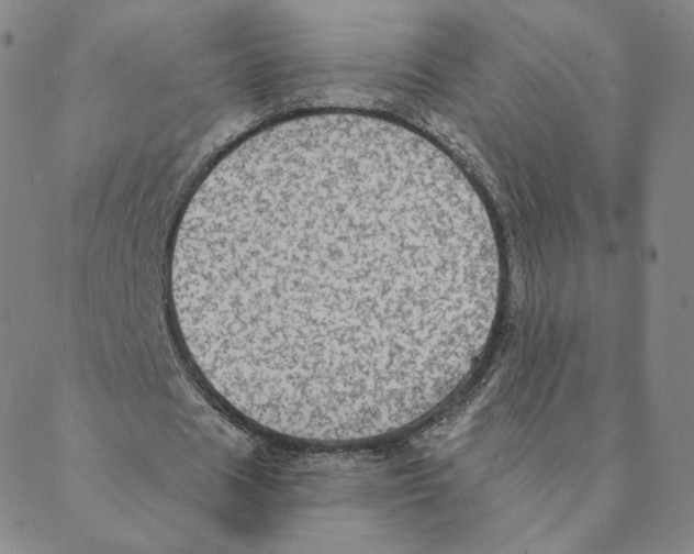X0000088390625200706191333