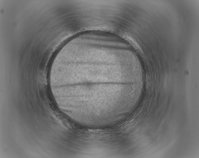 X0000088390628200706191333