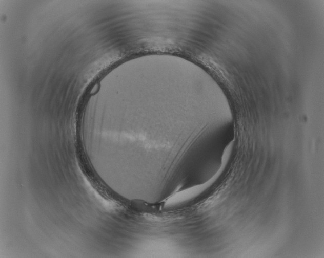 X0000088390630200706191333