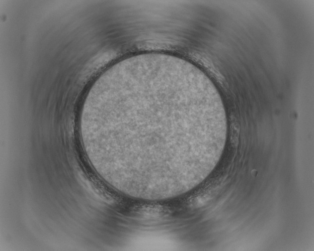 X0000088390631200706191333